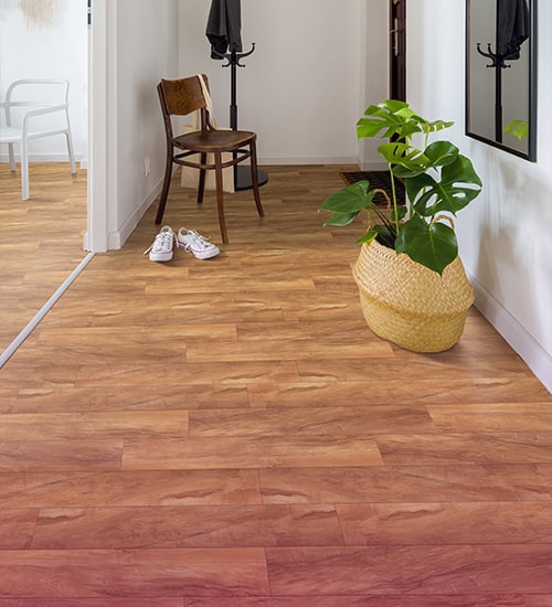 ماریگلد brand cover image