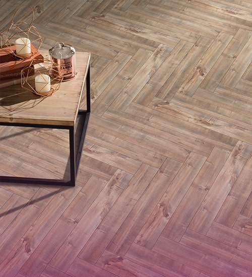 ویولا brand cover image